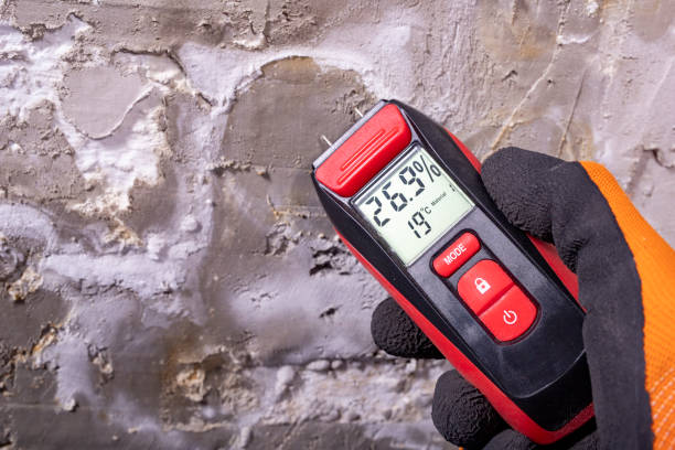 Best Mold Testing  in Walnut Ridge, AR